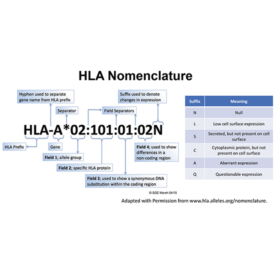 hla dna high resolution typing - a locus test